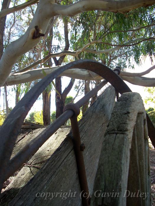 Old Horse Cart, Strawberry Patch Café, Glen Innes DSCN0081.jpg